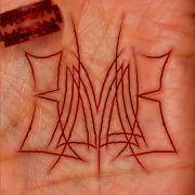 Between The Dream And Reality